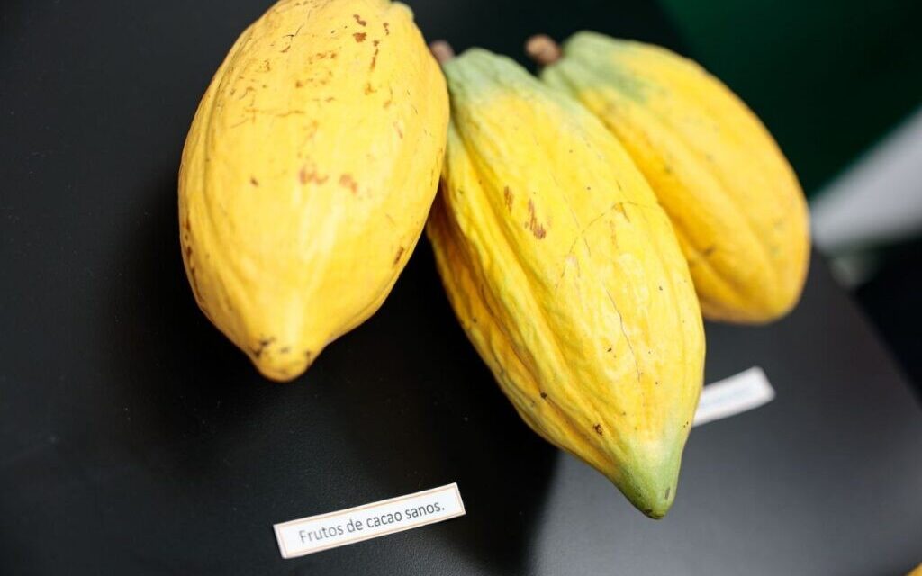Se Inaugura el Primer Centro de investigación para el Cacao Venezolano