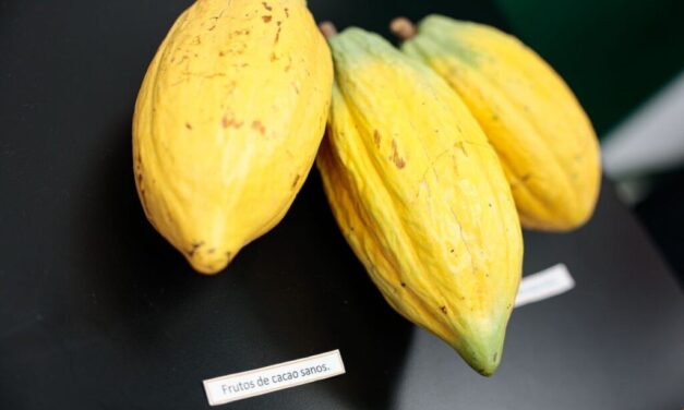 Se Inaugura el Primer Centro de investigación para el Cacao Venezolano