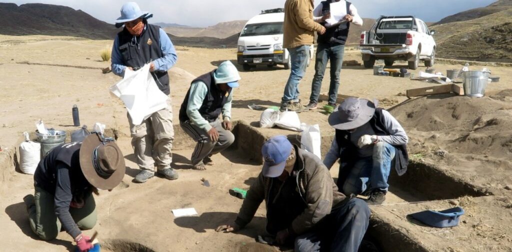 Excavaciones en el sitio de Wilamaya Patjxa en Perú. Foto Randall Haas a través de The New York Times